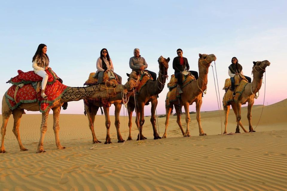 Thar Desert Adventures - Accommodation Options