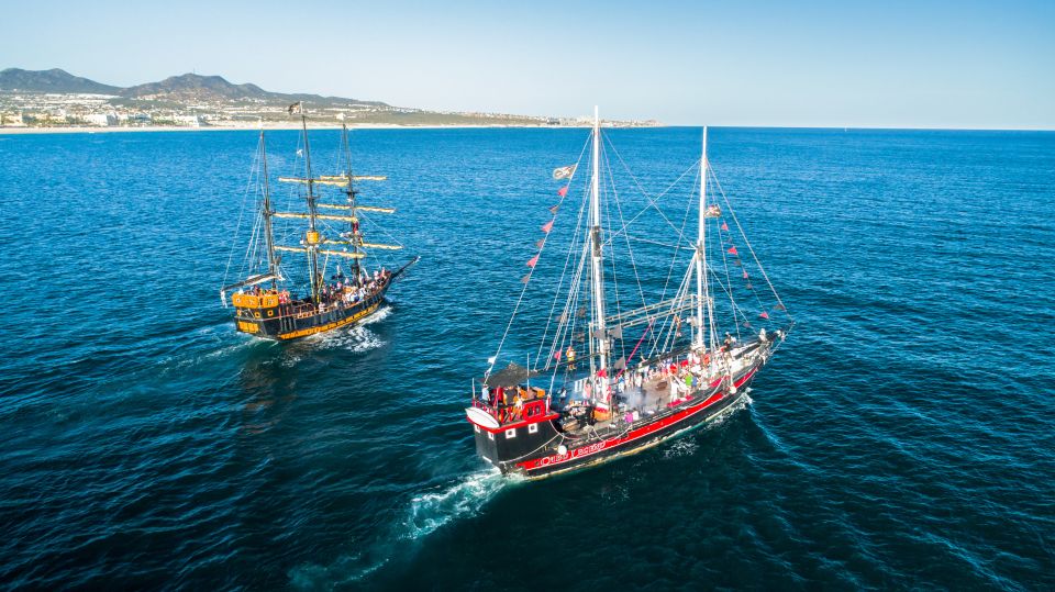 Thar She Blows! Whale Watching Pirate Cruise - Key Points