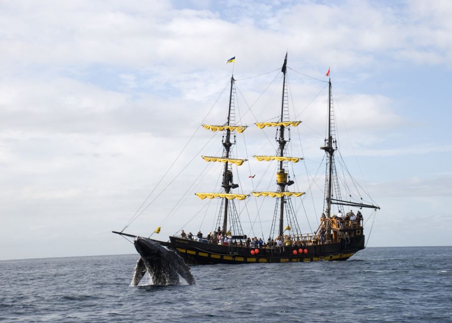Thar She Blows! Whale Watching Pirate Cruise - Highlights of the Pirate Ship Tour