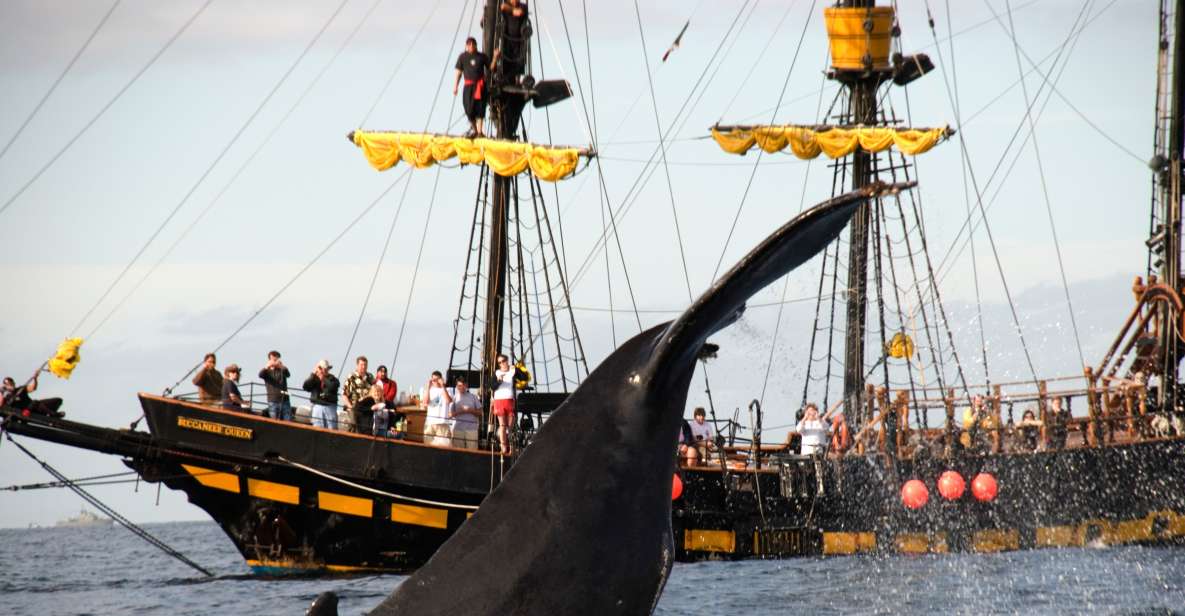Thar She Blows! Whale Watching Pirate Cruise - Included in the Package