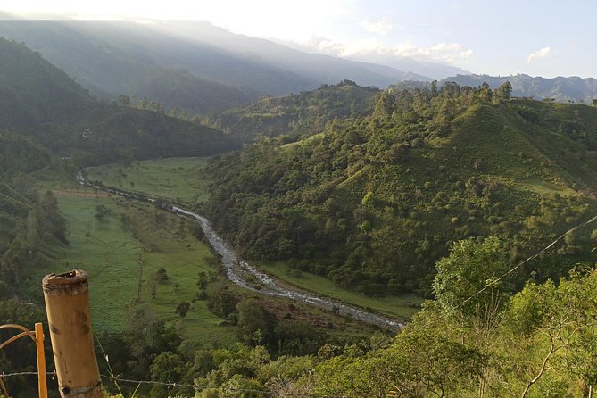 The Acacias Coffe Farm - Discovering the Salento Region