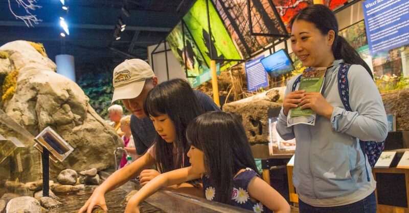 The Adirondacks: The Wild Center Admission Ticket - Key Points