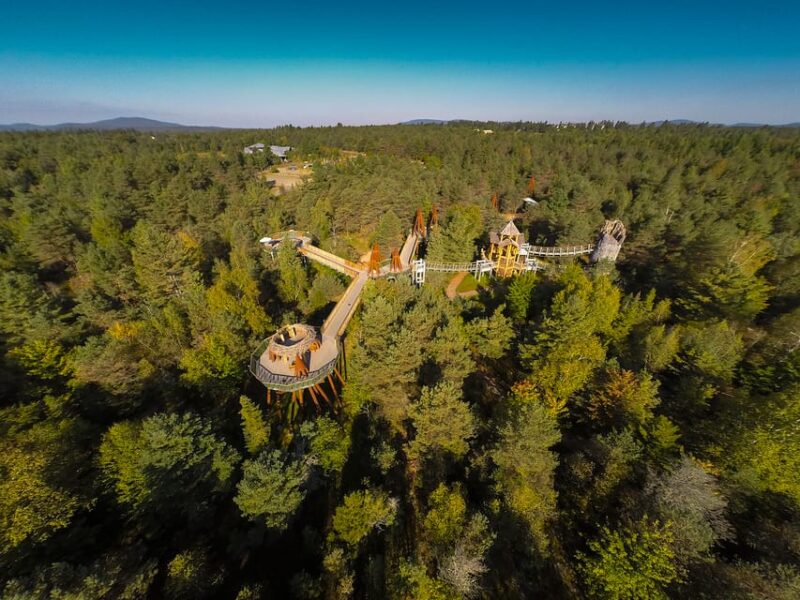 The Adirondacks: The Wild Center Admission Ticket - Visitor Ratings and Amenities