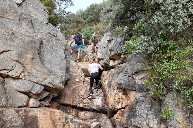 The Adventurous Route to Mirador Del Garbí - Verified Reviews of the Experience