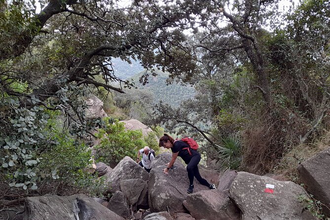 The Adventurous Route to Mirador Del Garbí - About the Tour Operator, Viator