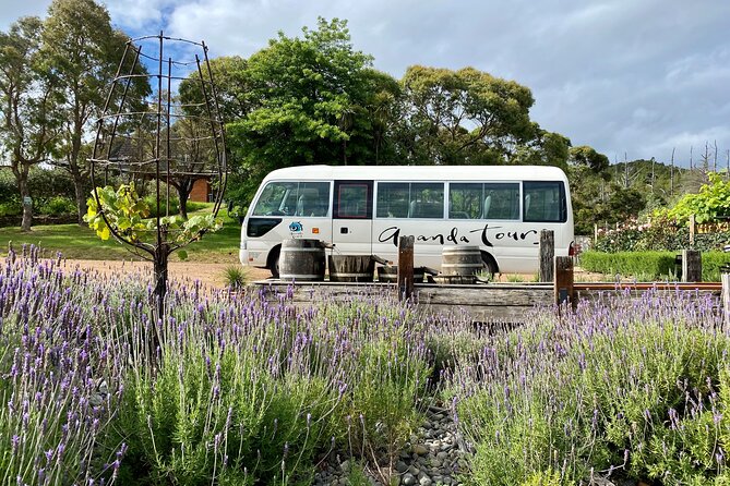 The Afternoon Artisan Food and Wine Tour - Customer Feedback Highlights