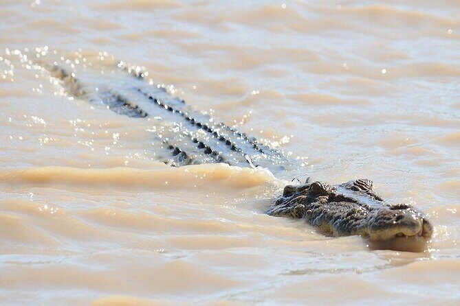 The Airlie Sightseeing Bus  (Cruise-Ship Friendly) - Authentic Experiences from Travelers