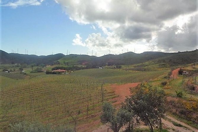 The Algarve Wine and Culinary Private Tour From Portimao - Scenic Views and Photo Opportunities