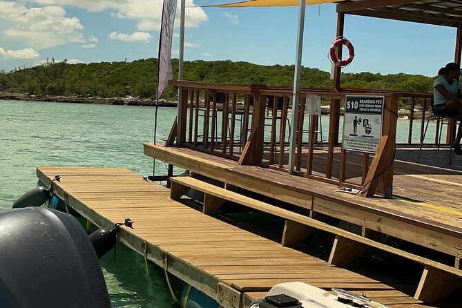 The Amazing Party Excursion - Booking Information and Policies