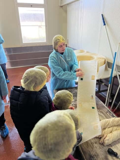 The Art of Parmigiano Reggiano & Aged Balsamic Vinegar - Exploring the Tour: A Step-by-Step Breakdown