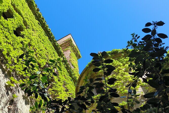 The Authentic Rioja Alavesa wine experiences - Practical Details and Tips