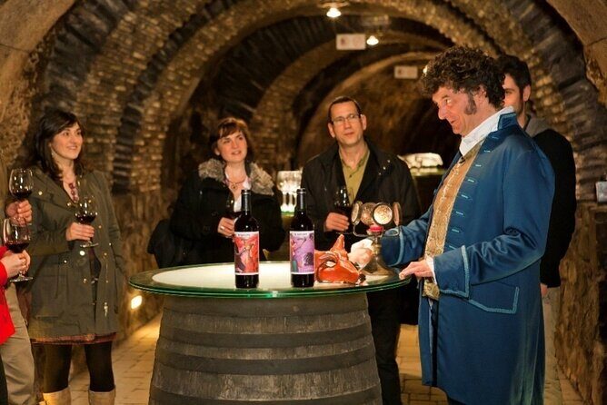 The Authentic Rioja Alavesa wine experiences - Who Should Consider This Tour?