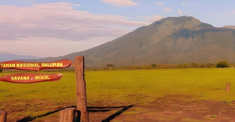 The Authentic Sunset Of Baluran National Park Banyuwangi - Good To Know