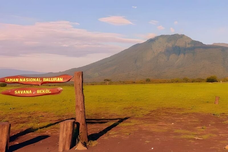 The Authentic Sunset Of Baluran National Park Banyuwangi - Exploring Bekol View Point