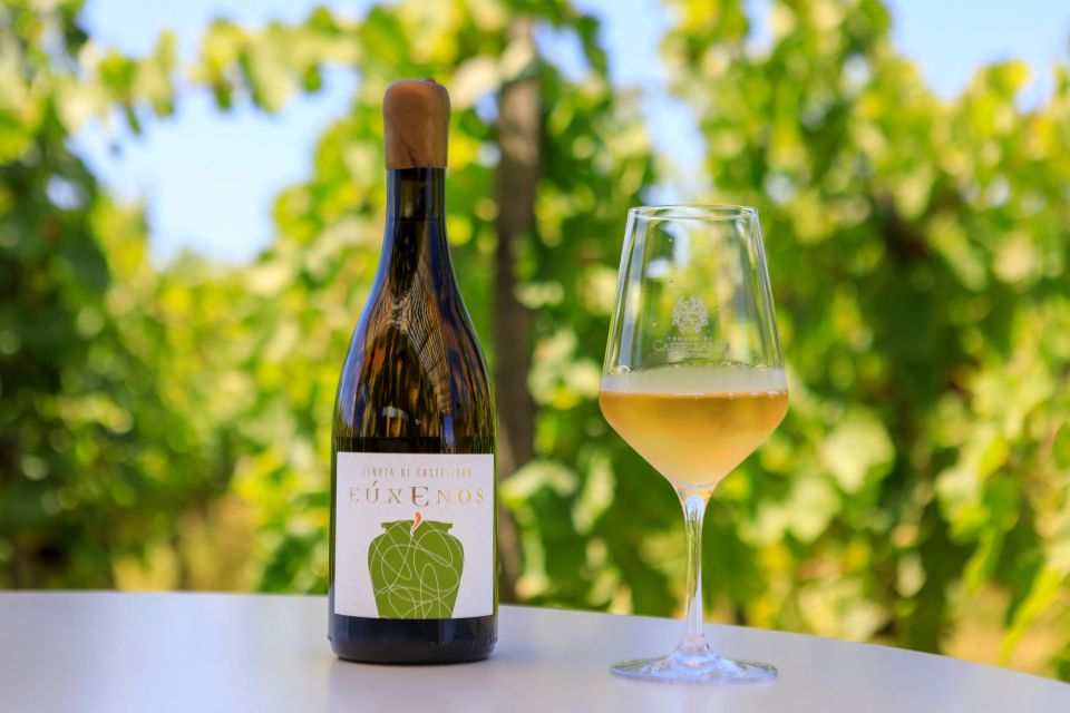 THE AUTOCTONES TASTING - Overview of The Autoctones Tasting
