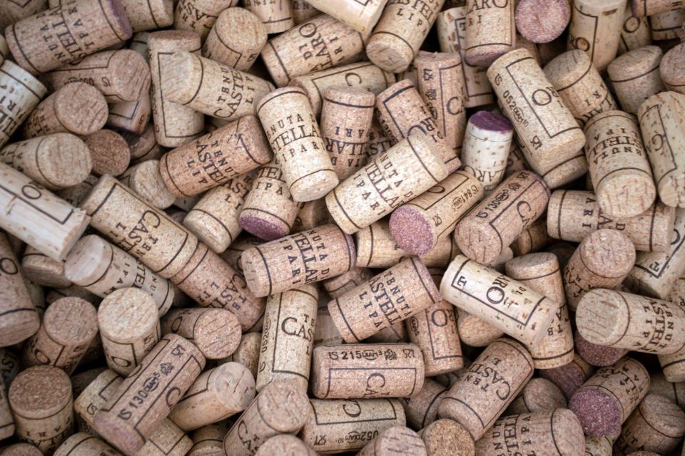THE AUTOCTONES TASTING - Cancellation Policy