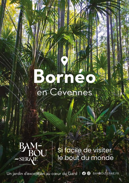 The Bambouseraie in Cévennes Ticket - Guided Tours and Audio Guides