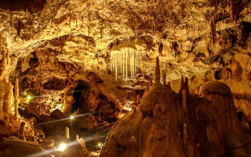 The Bear's cave: 1 day airconditioned car tour from Oradea - Key Points