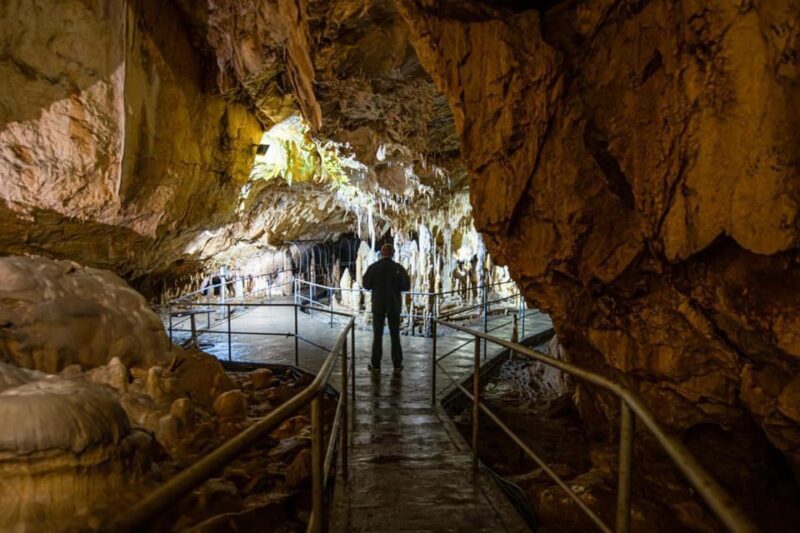 The Bear's cave: 1 day airconditioned car tour from Oradea - The Value for Travelers