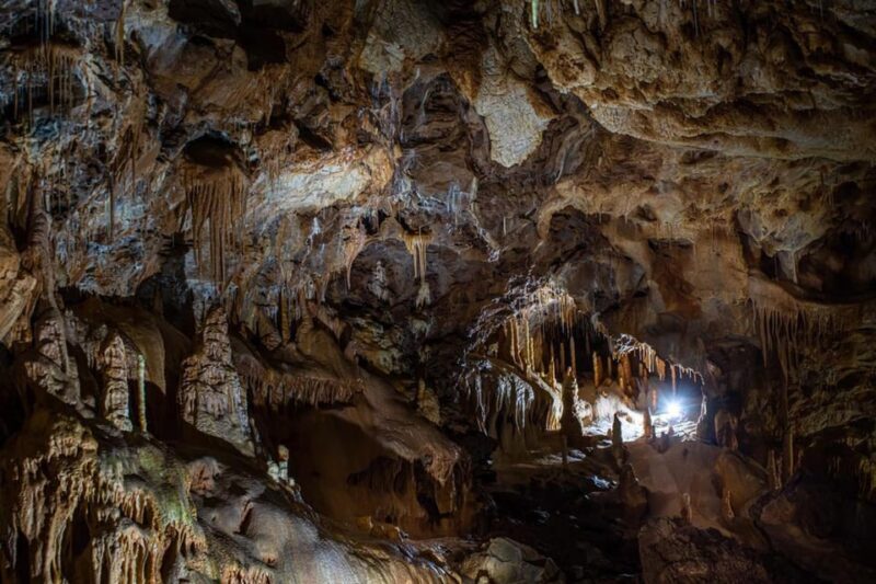 The Bear's cave: 1 day airconditioned car tour from Oradea - Who Should Consider This Tour?