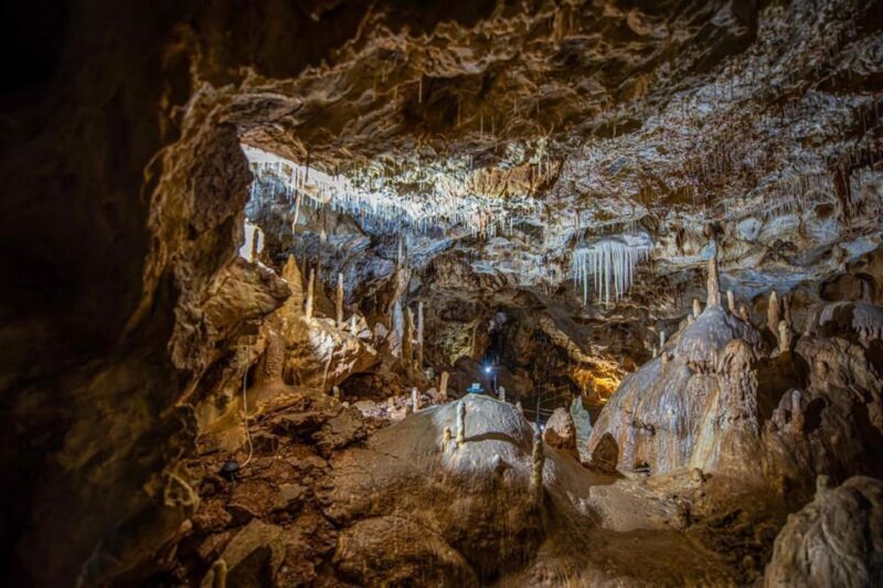 The Bear's cave: 1 day airconditioned car tour from Oradea - Frequently Asked Questions