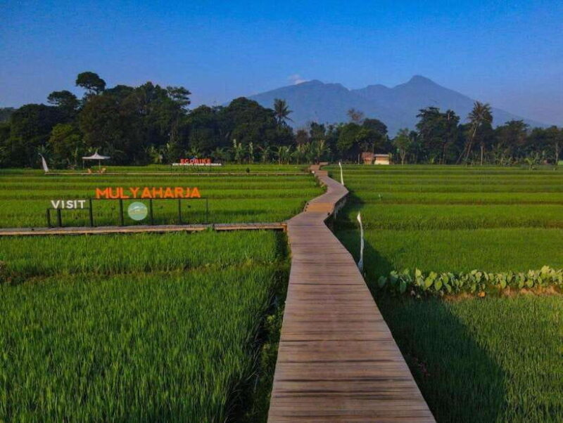 The Beautiful Garden, Rice Terrace and Waterfall In Bogor - An Introduction to Bogor’s Natural and Cultural Charms