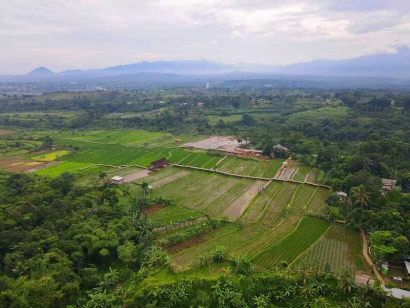 The Beautiful Garden, Rice Terrace and Waterfall In Bogor - Overall Value and Who Will Enjoy This Tour