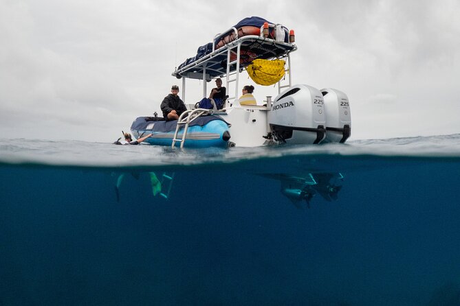 The Best 2.5 Hour Molokini Snorkel Tour & Whale Watch - Exploring Molokini Crater