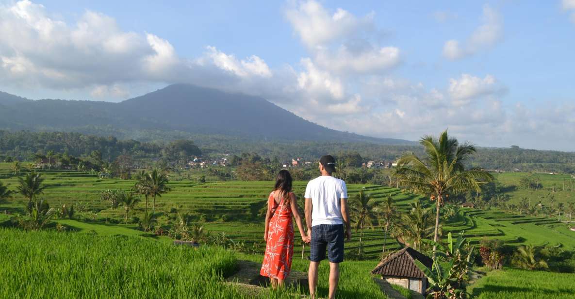 The Best 3 Days Package Tours Iconic Bali - Highlights of North Bali