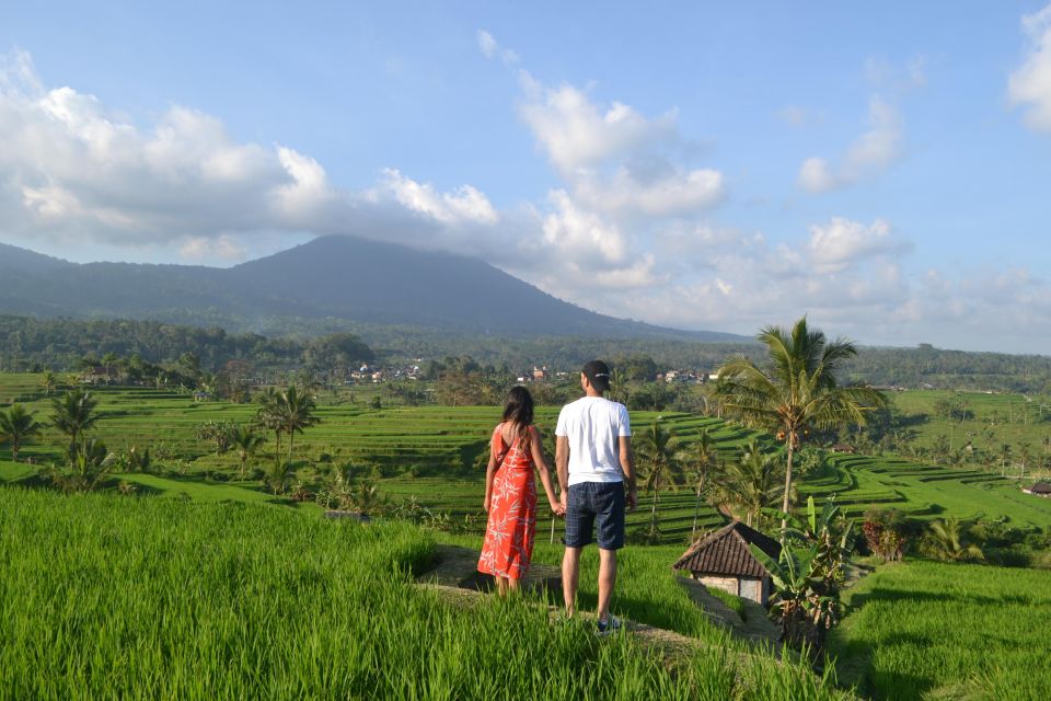 The Best 3 Days Package Tours Iconic Bali - Day 2: Kintamani Ubud Tour