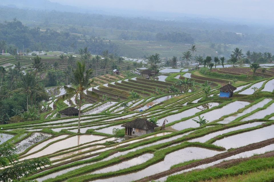 The Best 3 Days Package Tours Iconic Bali - Inclusions and Exclusions