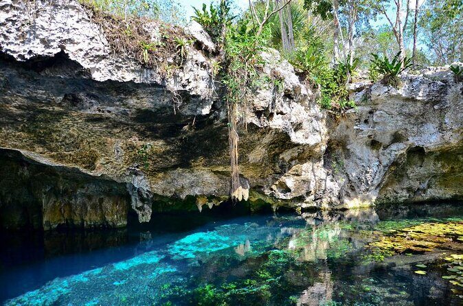 The best adventure Atvs, Cenote and Transportation Included - Introducing the Cancun Cenote Adventure: What You Need to Know