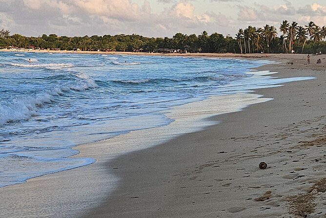 The best buggy/Atv atv punta cana - FAQ: Common Questions About the ATV and Buggy Tour