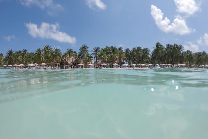 The Best Catamaran tour to Isla Mujeres with Open Bar and Lunch - Who Will Enjoy This Tour?