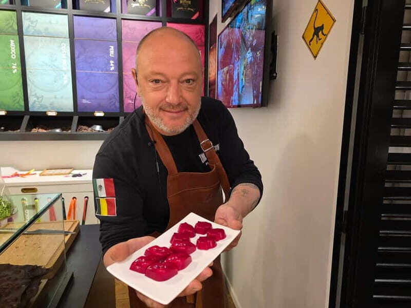 Thé best chocolate in Bruges! Private tour! - Key Points