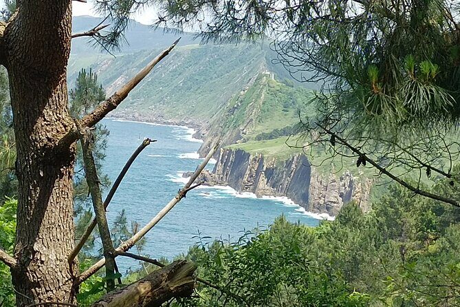 The Best Hiking with a Cliff View in San Sebastián - Who Is This Tour Best For?