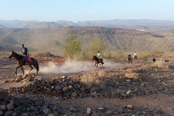 The Best Horse Riding Experience in Gran Canaria (1 Hour) - Safety Gear and Inclusions