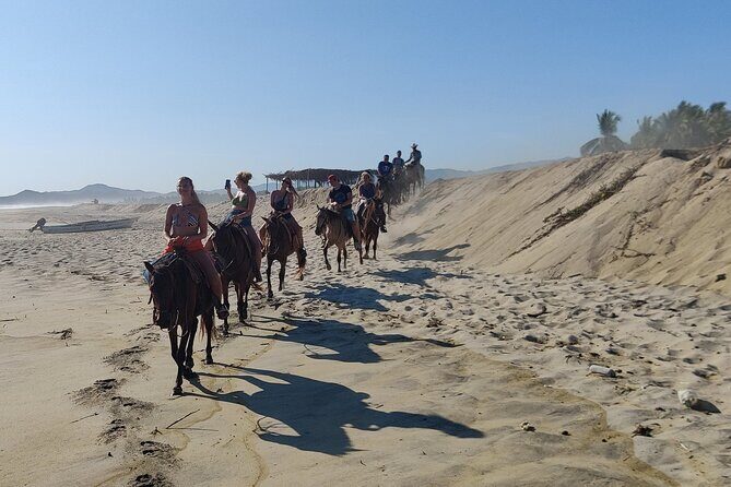 The Best Horseback Riding Trip: Wildlife, Rivers, Beach, Sunset.. - FAQ