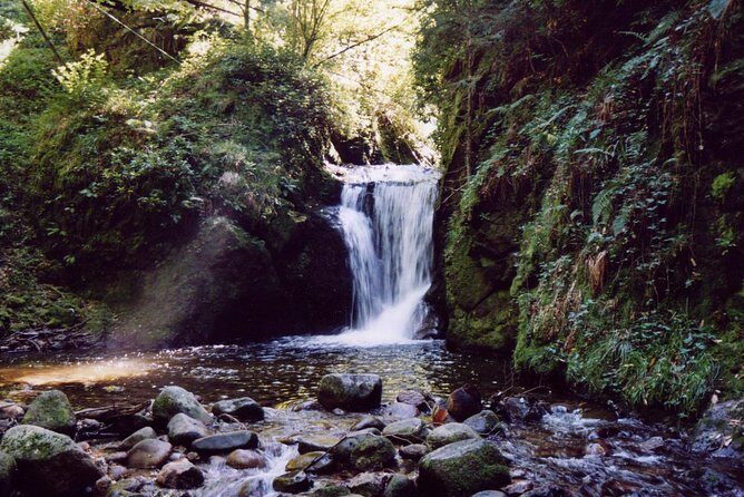 The best in Baden-Baden surroundings and Black Forest. Start from Baden-Baden - The Sum Up