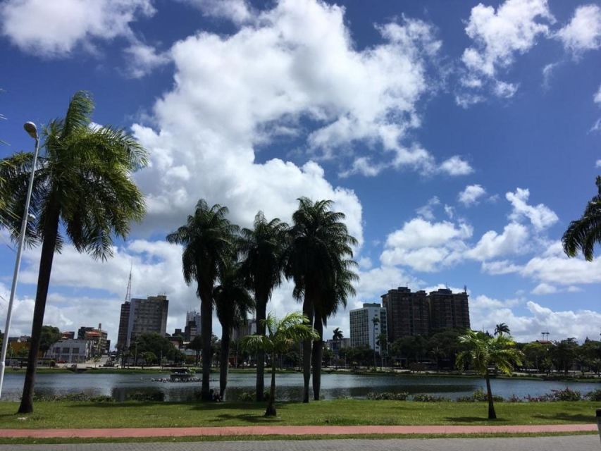 The BEST Natal Bus & Minivan Tours - Frequently Asked Questions