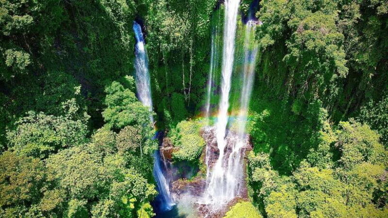 The Best Northern Bali: Waterfalls & Sacred Temple Adventure - Authentic Experiences & Traveler Feedback