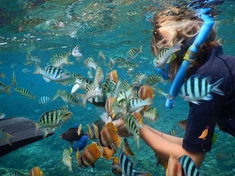 The Best Nusa Penida and Lembongan 1 Day Tour - Guided Tour of Western Nusa Penida