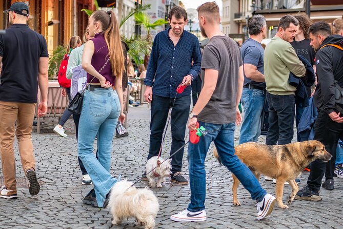 The Best of Bucharest Walking Tour - Practical Information for Your Visit