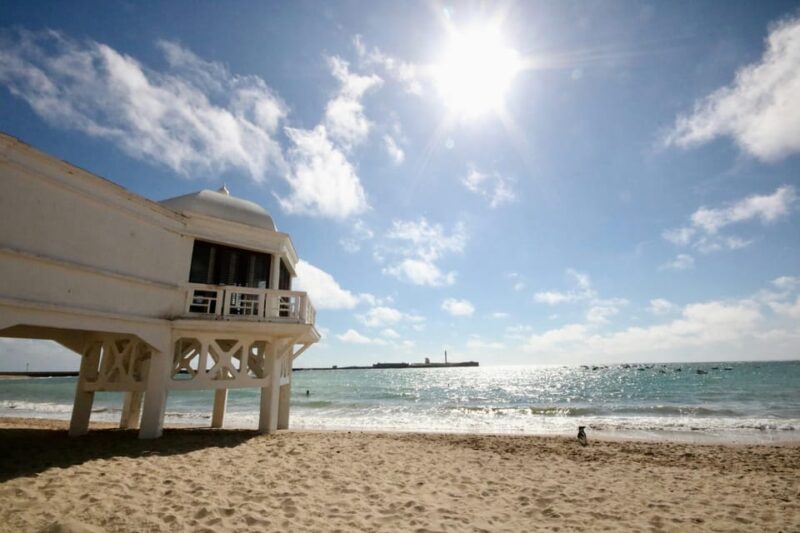 The Best of Cadiz - Private Walking Tour - Key Points