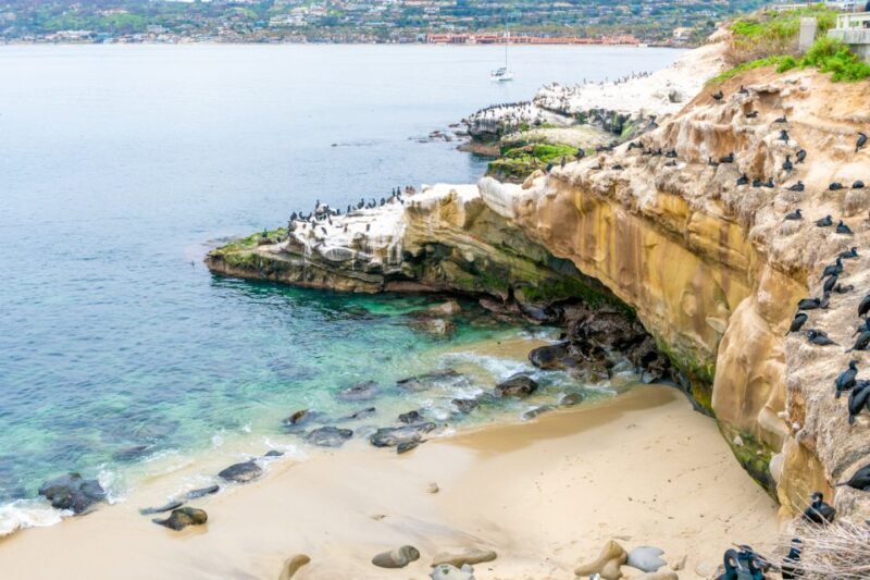 The Best of La Jolla Walking Tour - Sip, Savor & Sea - Authenticity and Unique Experiences