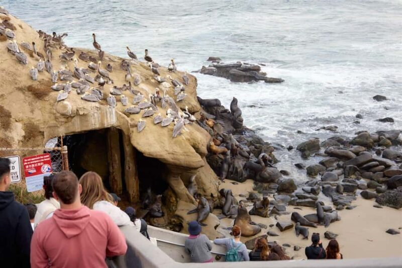 The Best of La Jolla Walking Tour - Sip, Savor & Sea - Who Would Love This Tour?