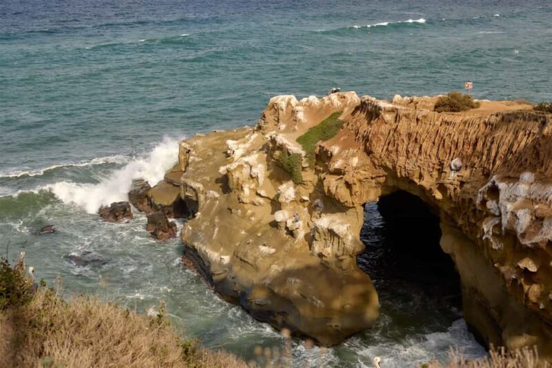 The Best of La Jolla Walking Tour - Sip, Savor & Sea - Summary: The Tour’s Strengths and Considerations