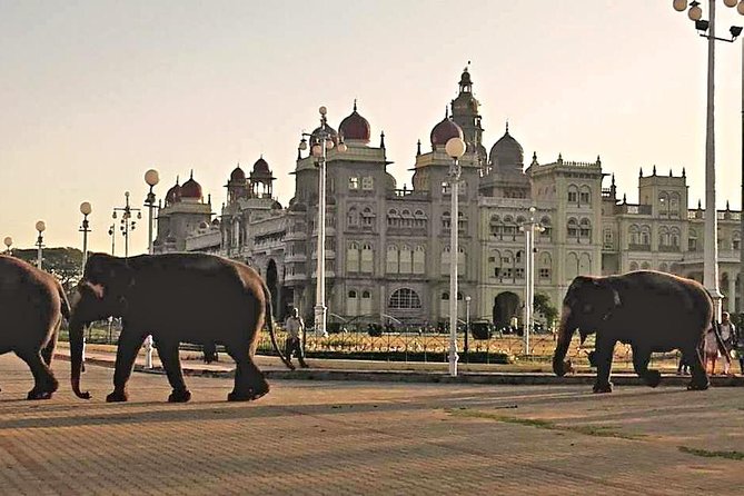 The Best of Mysore/Mysuru, Somnathpur & Srirangapatna in a Day - Discovering Somnathpurs Architectural Gems