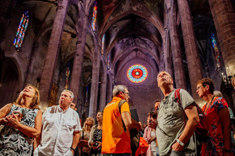 The Best of Palma: Boat trip, Walking tour and Cathedral - Final Thoughts: Is This Tour Worth It?
