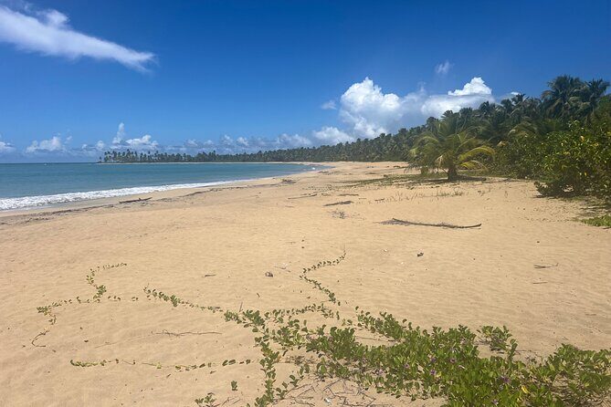 The Best of Puerto Plata Private Sightseeing Tour Combo - Key Points